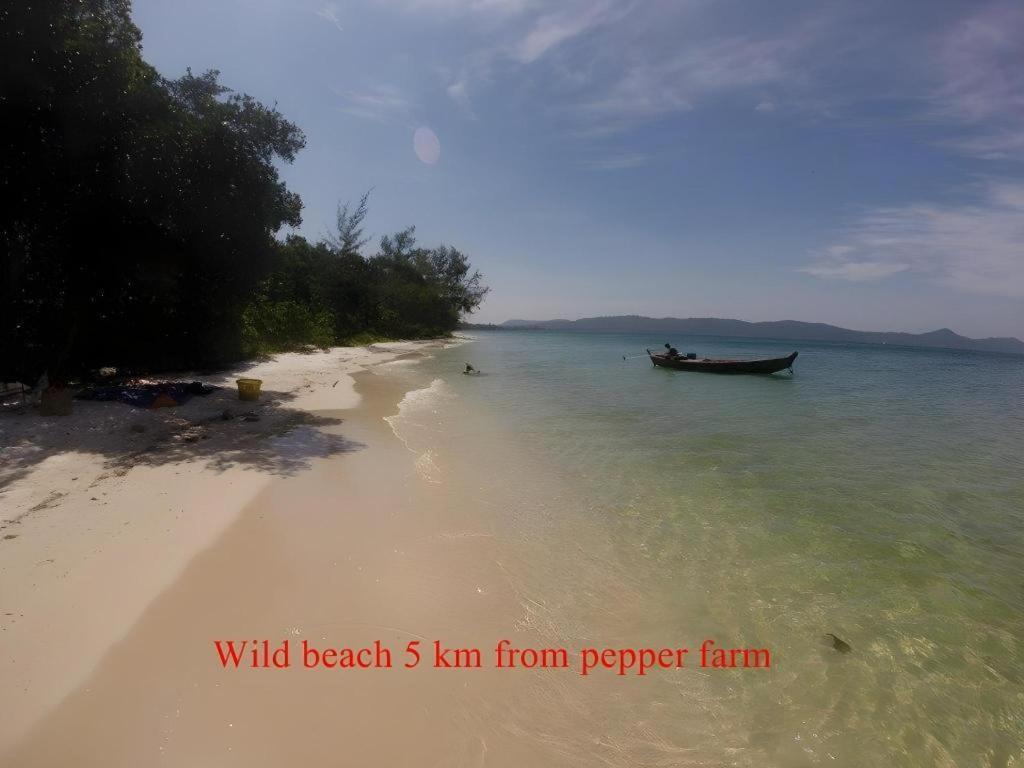 Pepper Farm Phu Quoc Bungalow Exteriér fotografie
